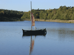 Prerow Natur pur