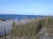 Strand Zingst